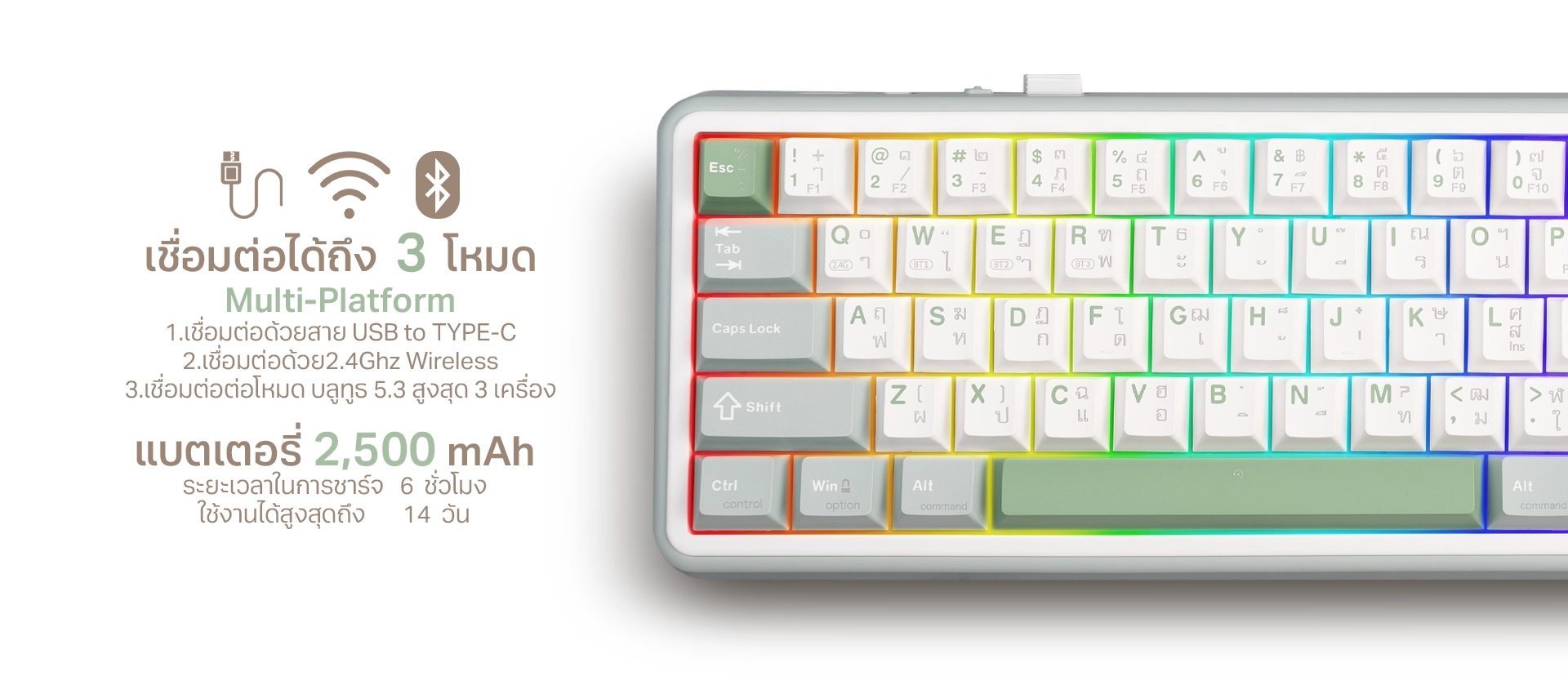 āļāļĩāļĒāđāļāļāļĢāđāļāđāļāļĄāļĄāļīāđāļ āļĢāļļāđāļ TYPE CMK8 āļāļāļēāļ 65% āļāļĢāđāļāļĄ Knob āļāļĢāļąāļāđāļŠāļĩāļĒāļ