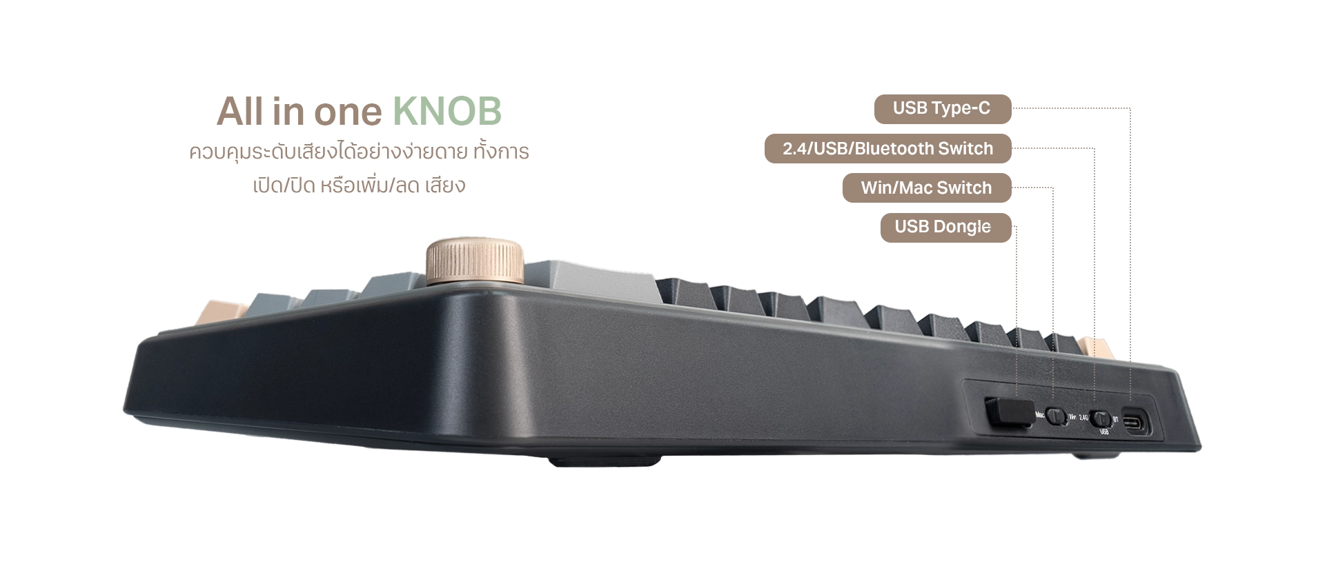 āļŠāļ§āļīāļāļāđ EGA Saiko One Linear āđāļĨāļ° Clicky āļāļāļāļĩāļĒāđāļāļāļĢāđāļ TYPE CMK8