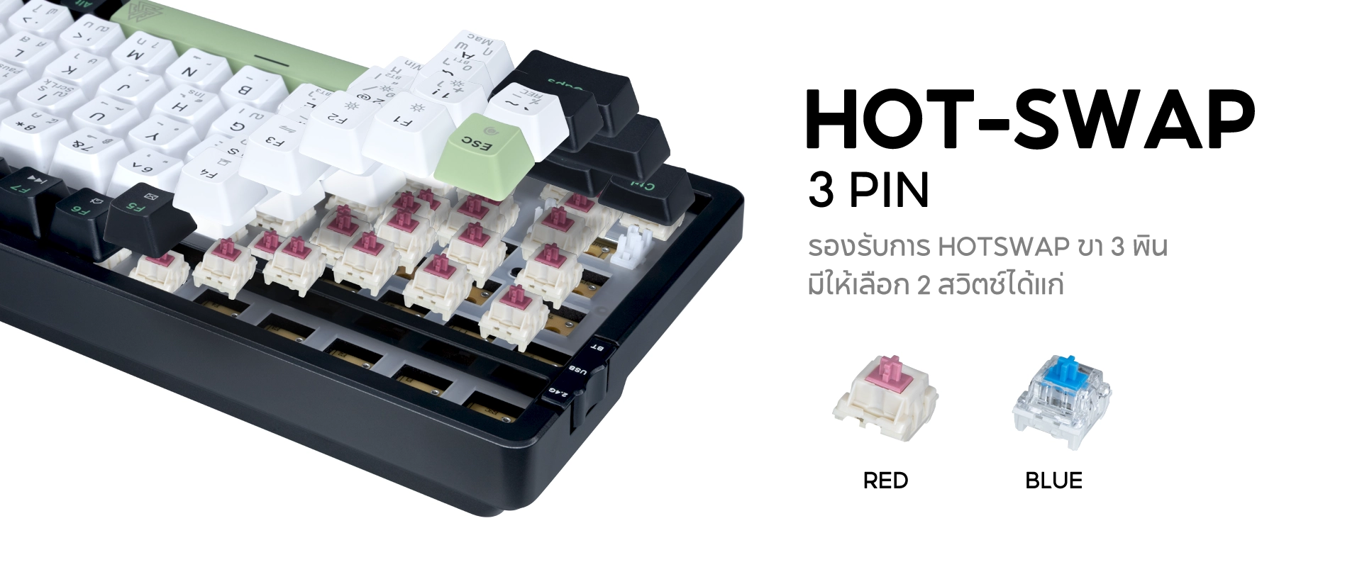 āļŠāļ§āļīāļāļāđ Blue āđāļĨāļ° Red āļāļāļāļāļĩāļĒāđāļāļāļĢāđāļ TYPE CMK9